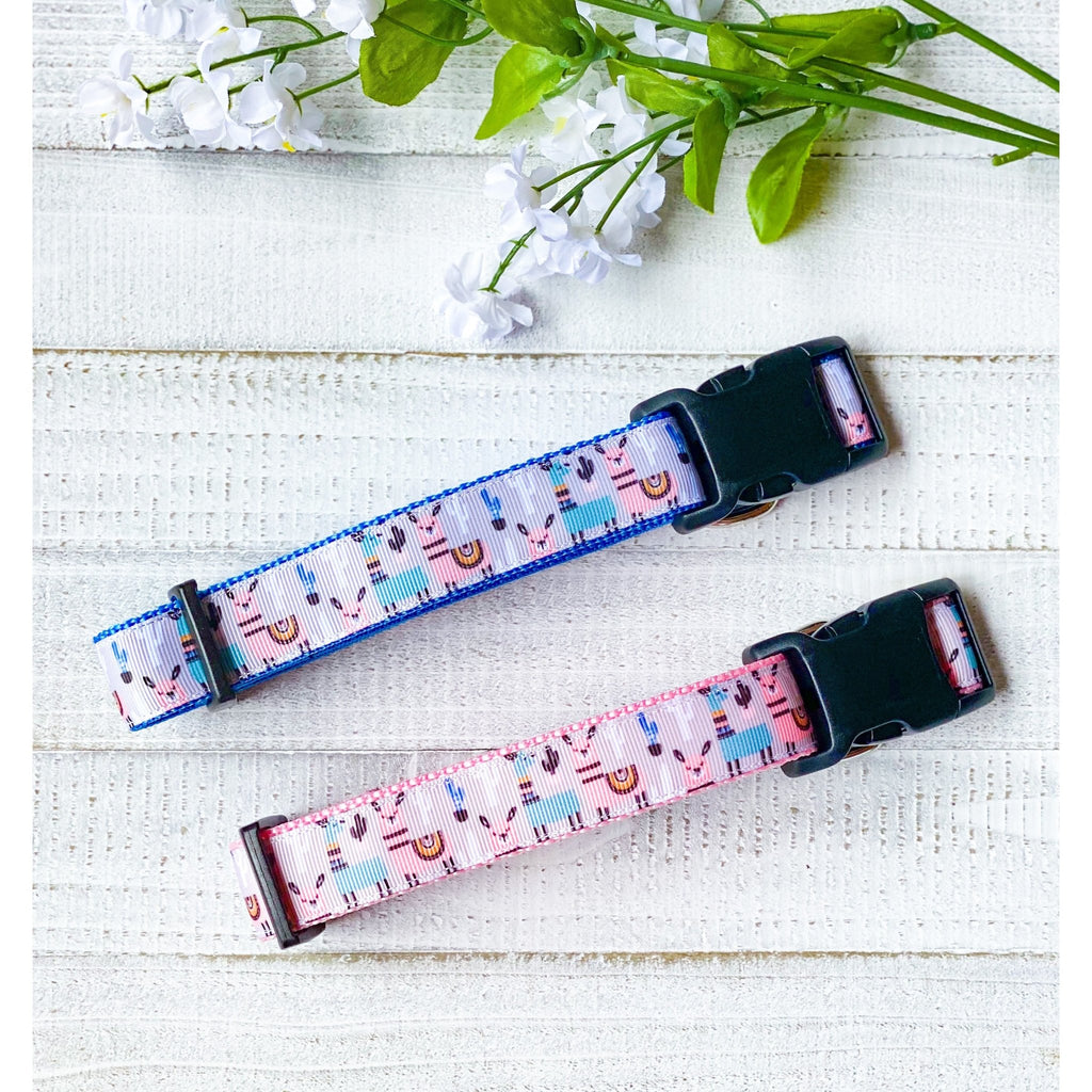 Llama Dog Collar - Jersey Border Collars