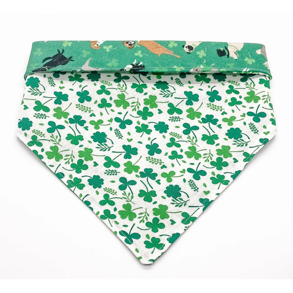 St. Patty Pups / Clover - Reversible - Jersey Border Collars