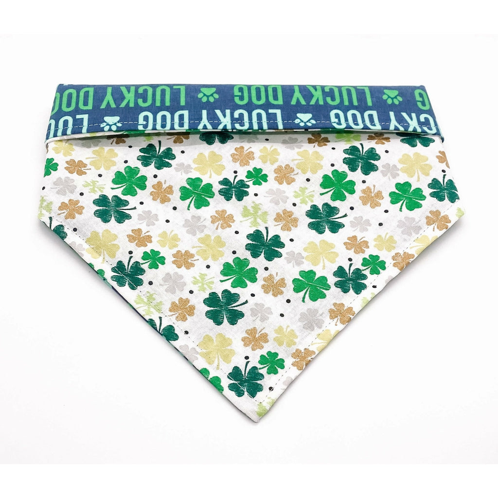 Lucky Dog / Clover - Reversible - Jersey Border Collars