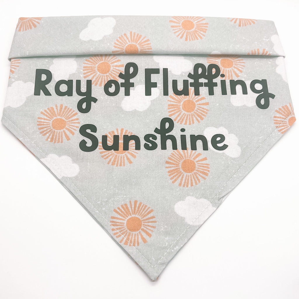 Ray of Fluffing Sunshine Bandana - Jersey Border Collars