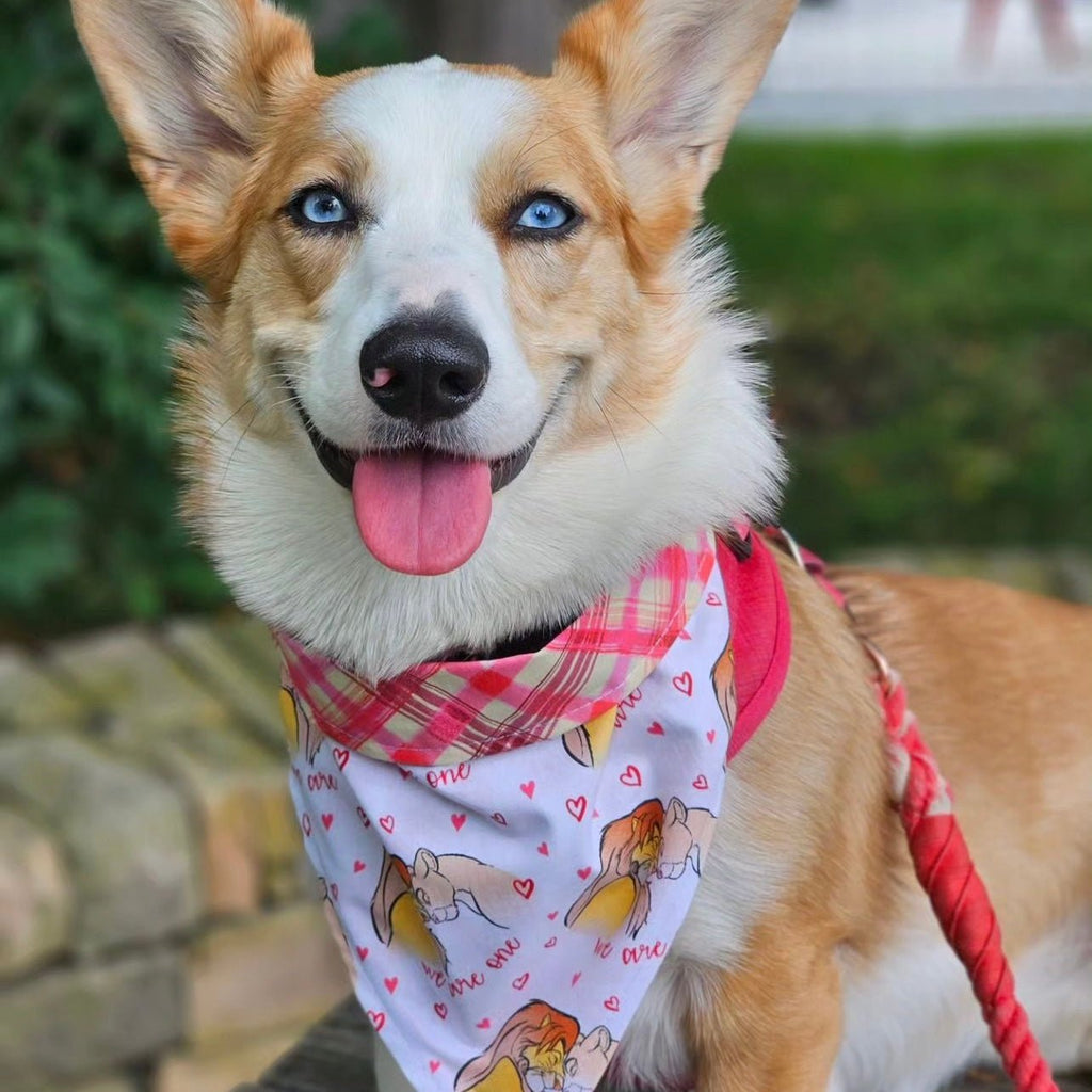 We Are One / Lion King Bandana - Reversible - Jersey Border Collars