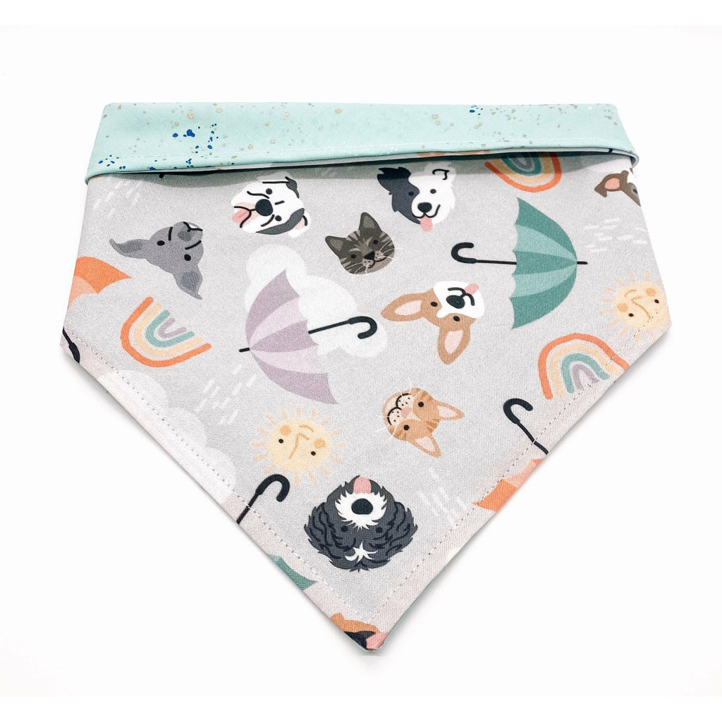 It's Raining Cats & Dogs Bandana - Reversible - Jersey Border Collars