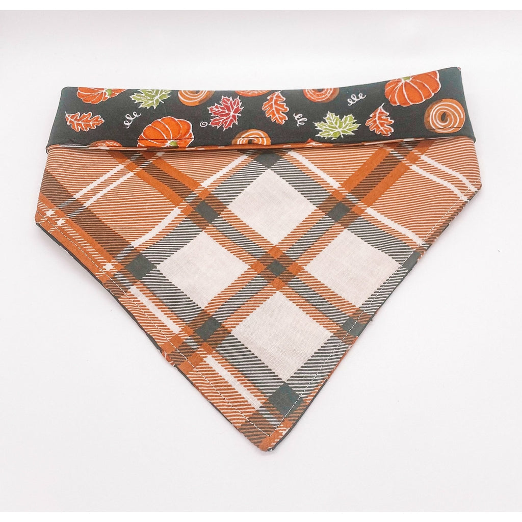 Life is Gourd / Flannel Bandana - Reversible - Jersey Border Collars