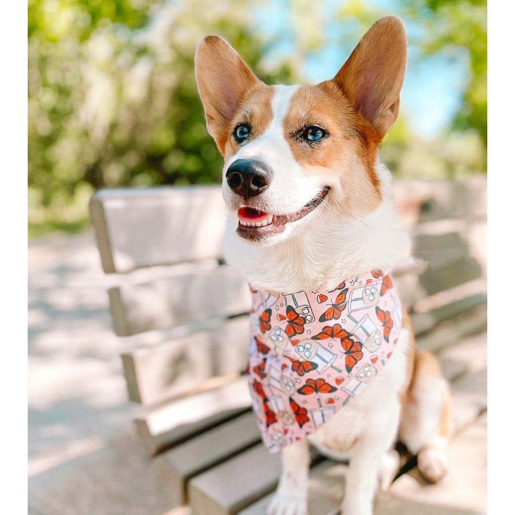 Butterflies & Iced Coffee Bandana - Jersey Border Collars