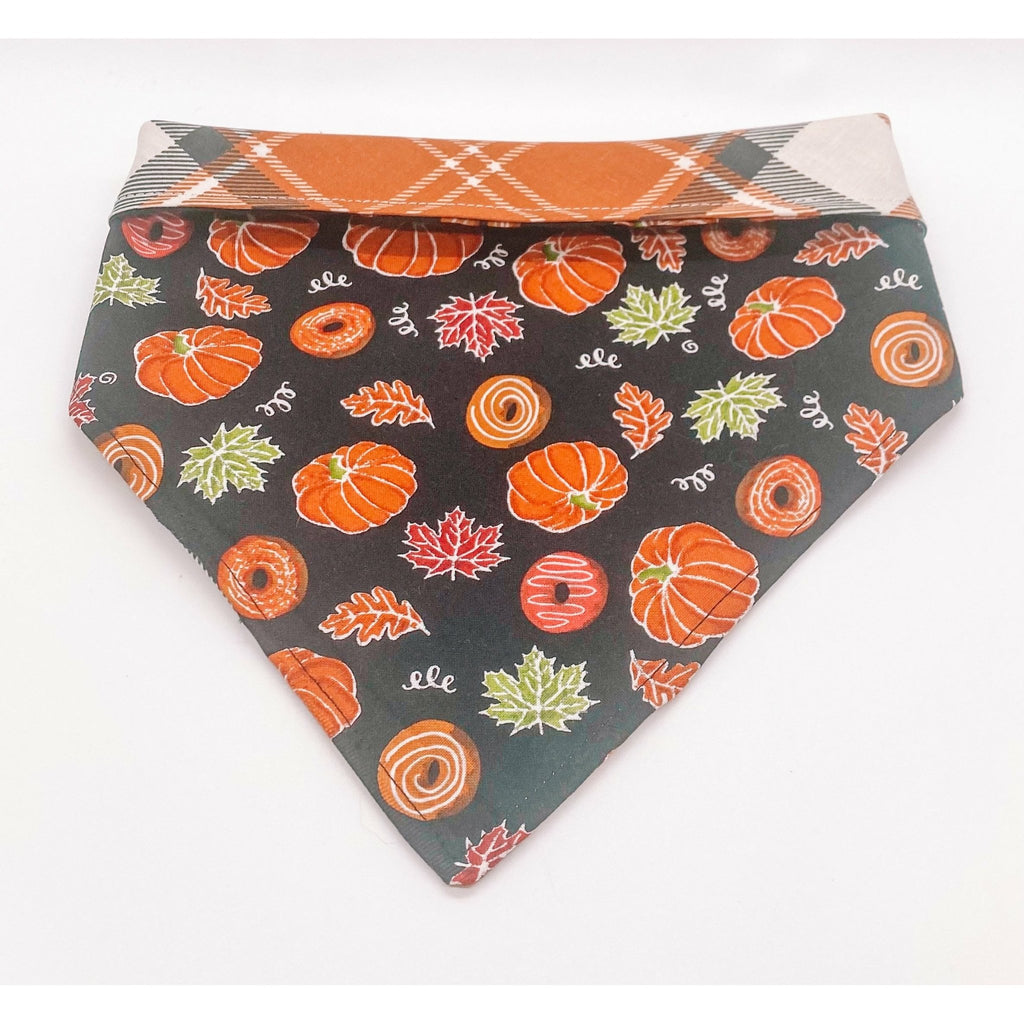 Life is Gourd / Flannel Bandana - Reversible - Jersey Border Collars