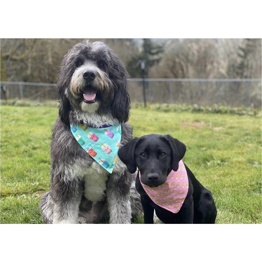 Boba Tea / Purple Fusion Bandana - Reversible - Jersey Border Collars