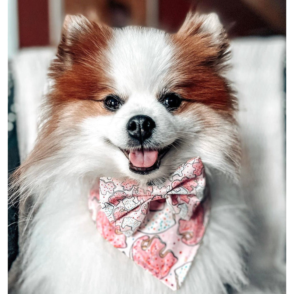 Pink Animal Cracker Bow Tie - Jersey Border Collars