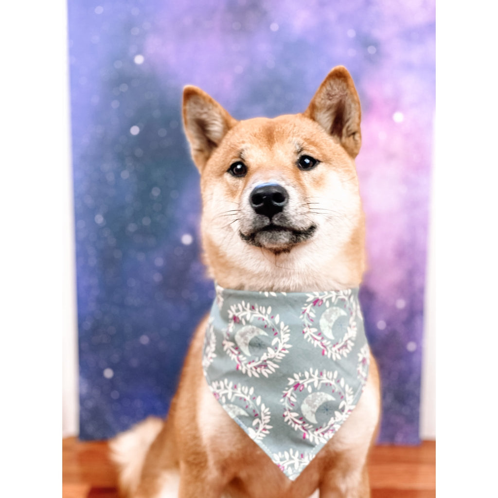 Gray Lunar Crescent Moon Bandana - Jersey Border Collars