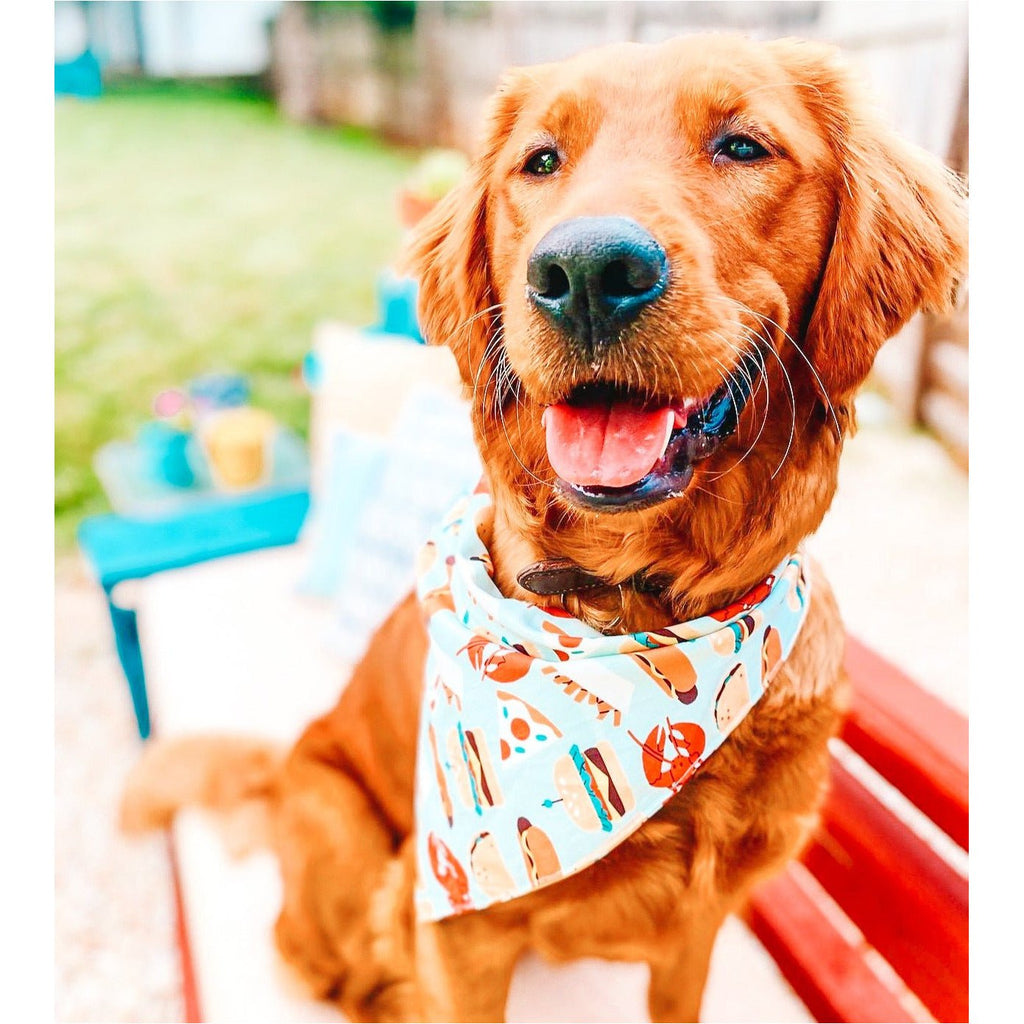 Blue Food Truck Bandana - Jersey Border Collars