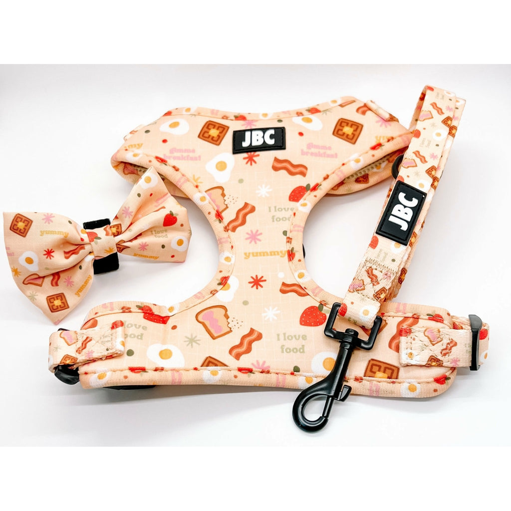 Barkfest - Bundle Set - Jersey Border Collars