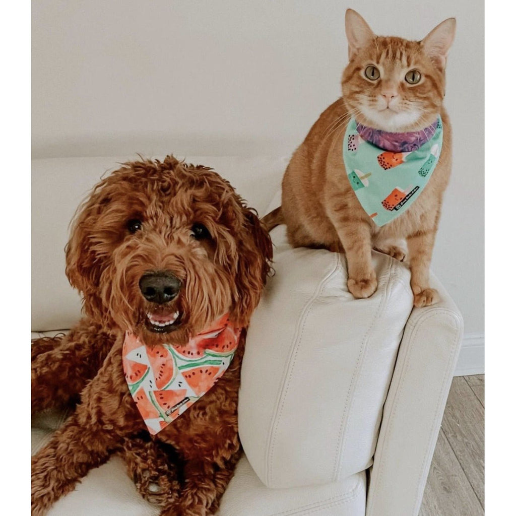 Watermelon Bandana - Jersey Border Collars