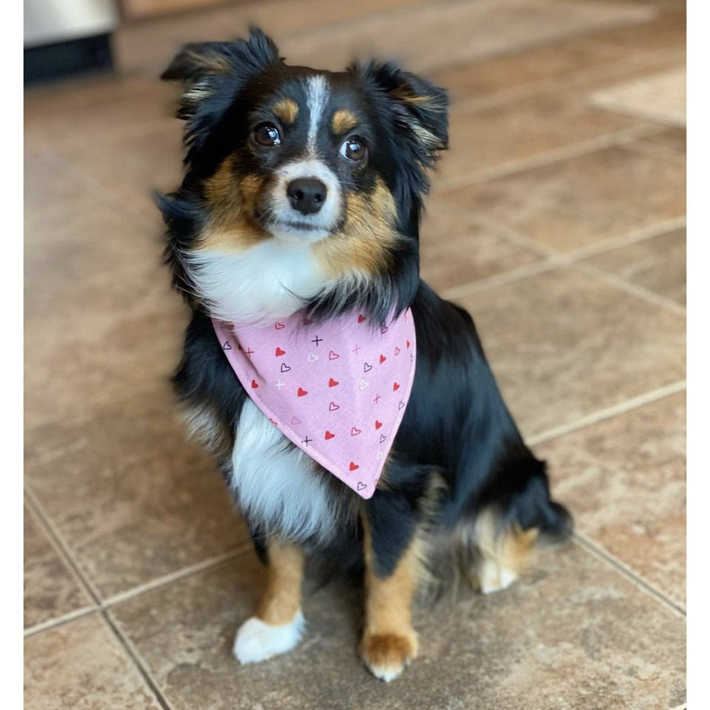 Pink XOXO / Plaid Bandana - Reversible - Jersey Border Collars