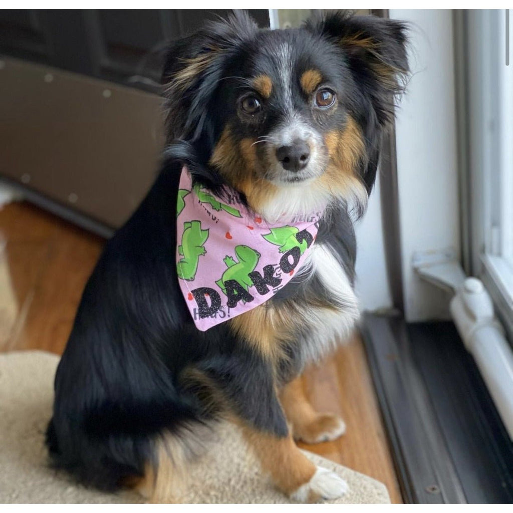 Dinosaur Hugs Bandana - Jersey Border Collars