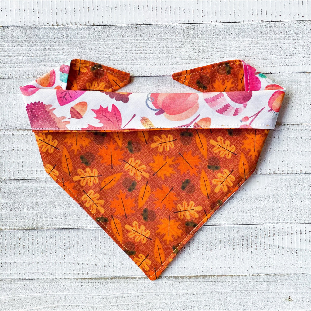 Happy Fall Bandana - Reversible - Jersey Border Collars