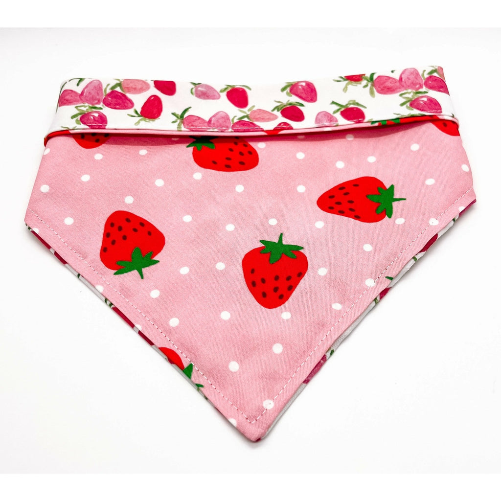 Strawberry Fields Bandana - Reversible - Jersey Border Collars