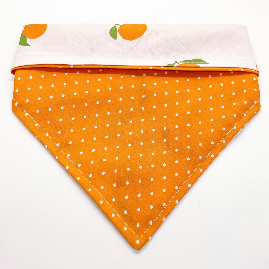 Summer Time Citrus Bandana - Reversible - Jersey Border Collars