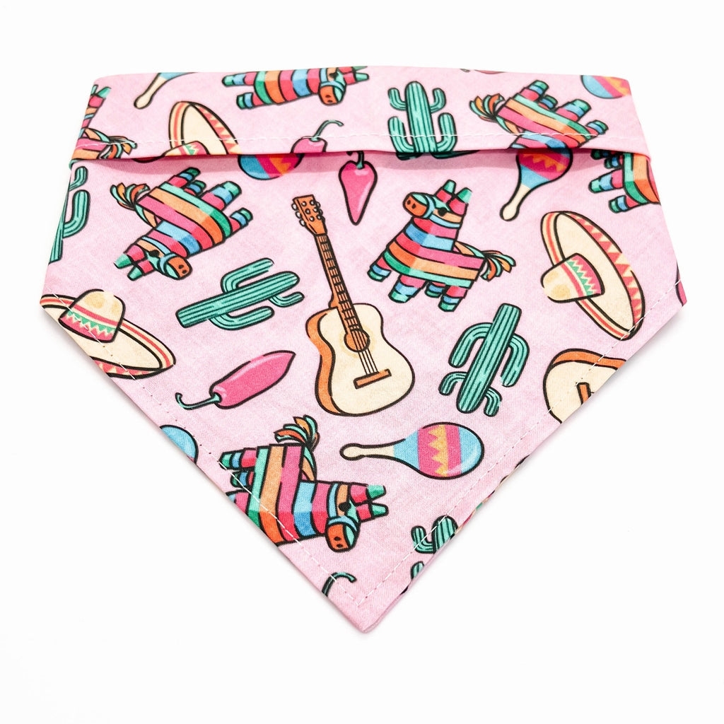 Pink Fiesta Bandana - Jersey Border Collars