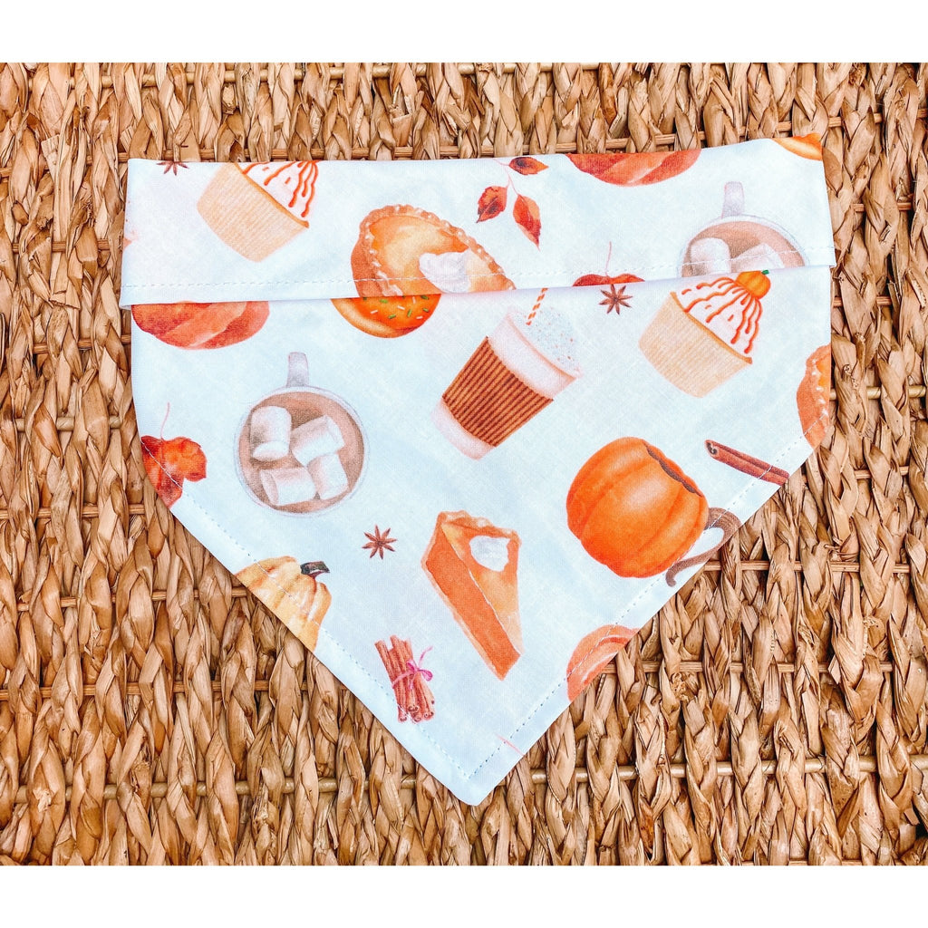 Pumpkin Spice & Everything Nice Bandana - Jersey Border Collars