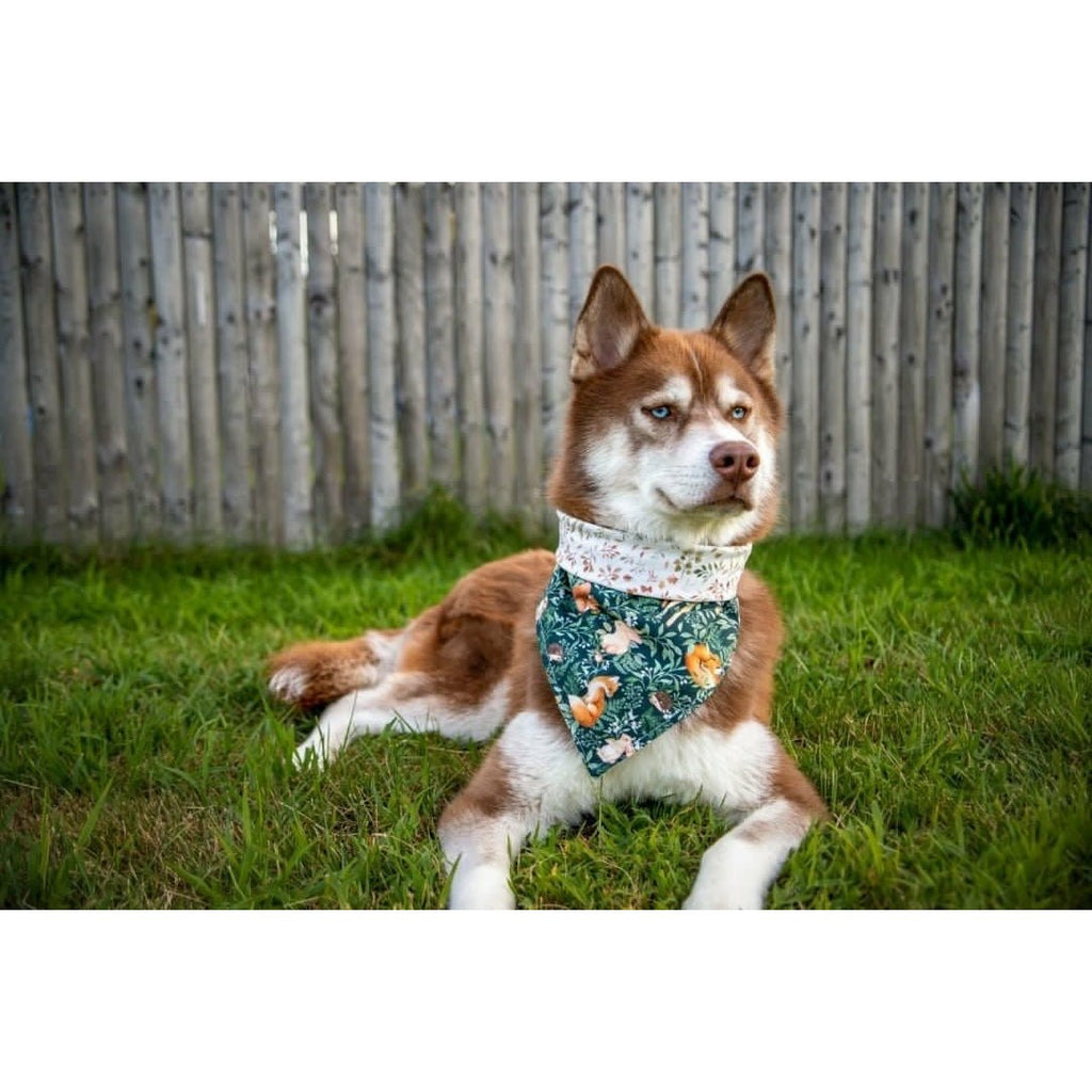 Bambi Forest / Autumn Fern Bandana - Reversible - Jersey Border Collars