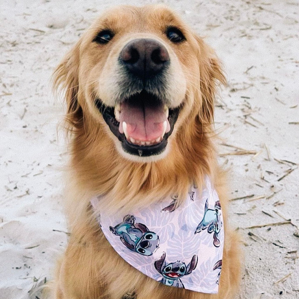 Aloha Stitch / Polka Dot Bandana - Reversible - Jersey Border Collars