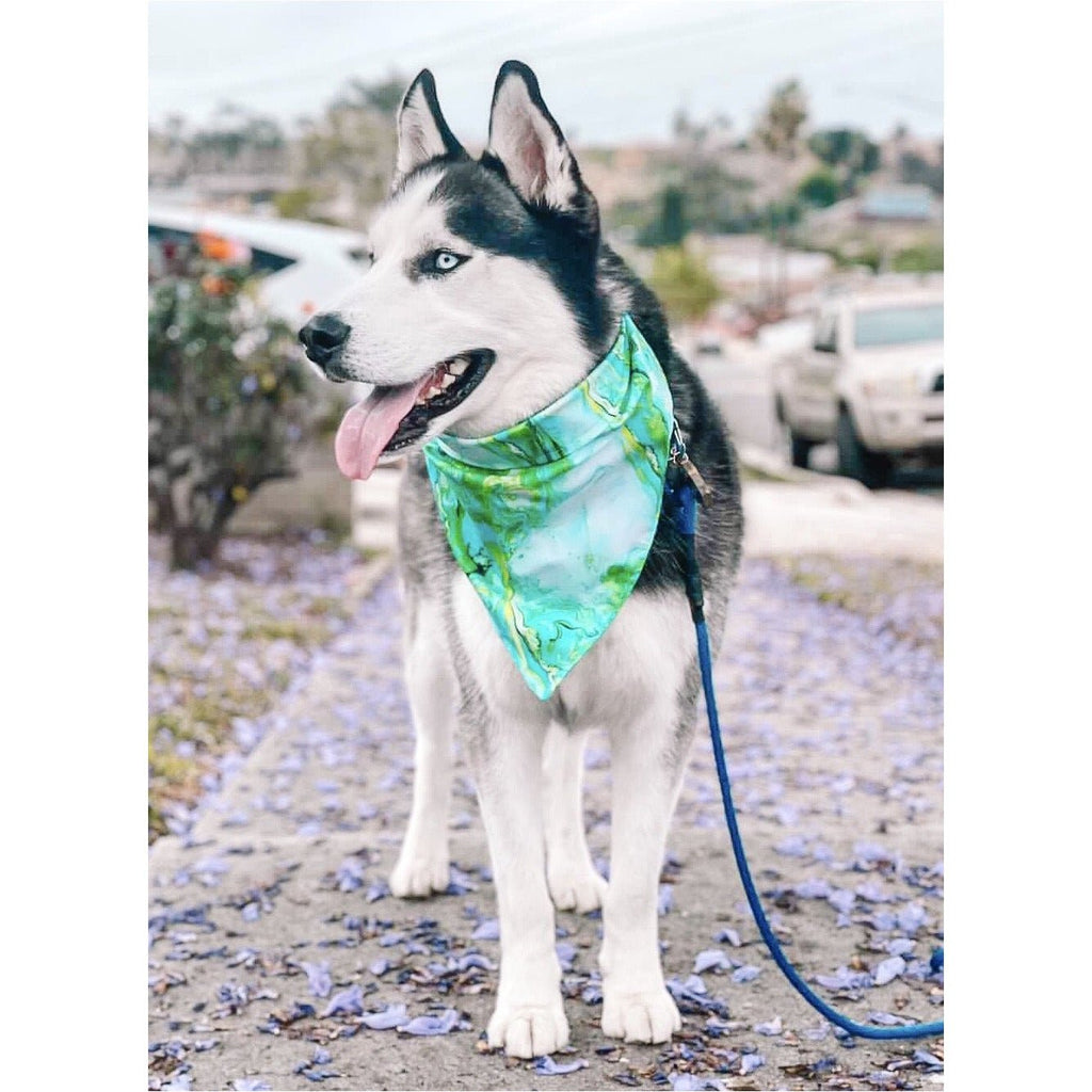 Emerald Blast Bandana - Jersey Border Collars