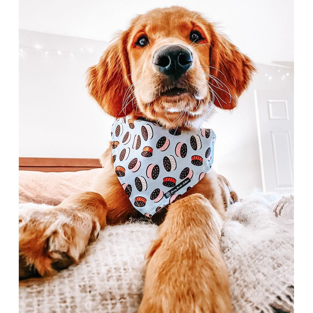 Ice - cream Sandwich Bandana - Jersey Border Collars