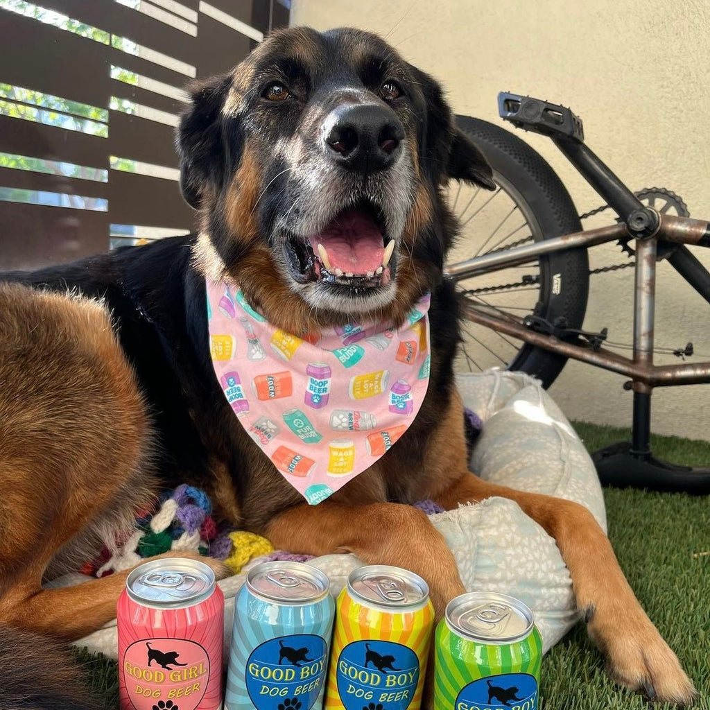 Pink Brew Buddy Bandana - Reversible - Jersey Border Collars