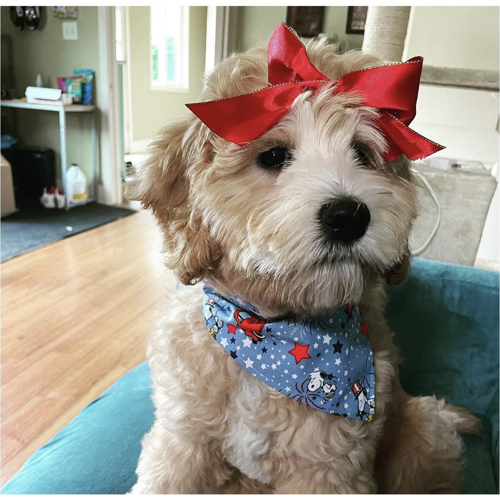 Patriotic Snoopy Firework Bandana - Jersey Border Collars