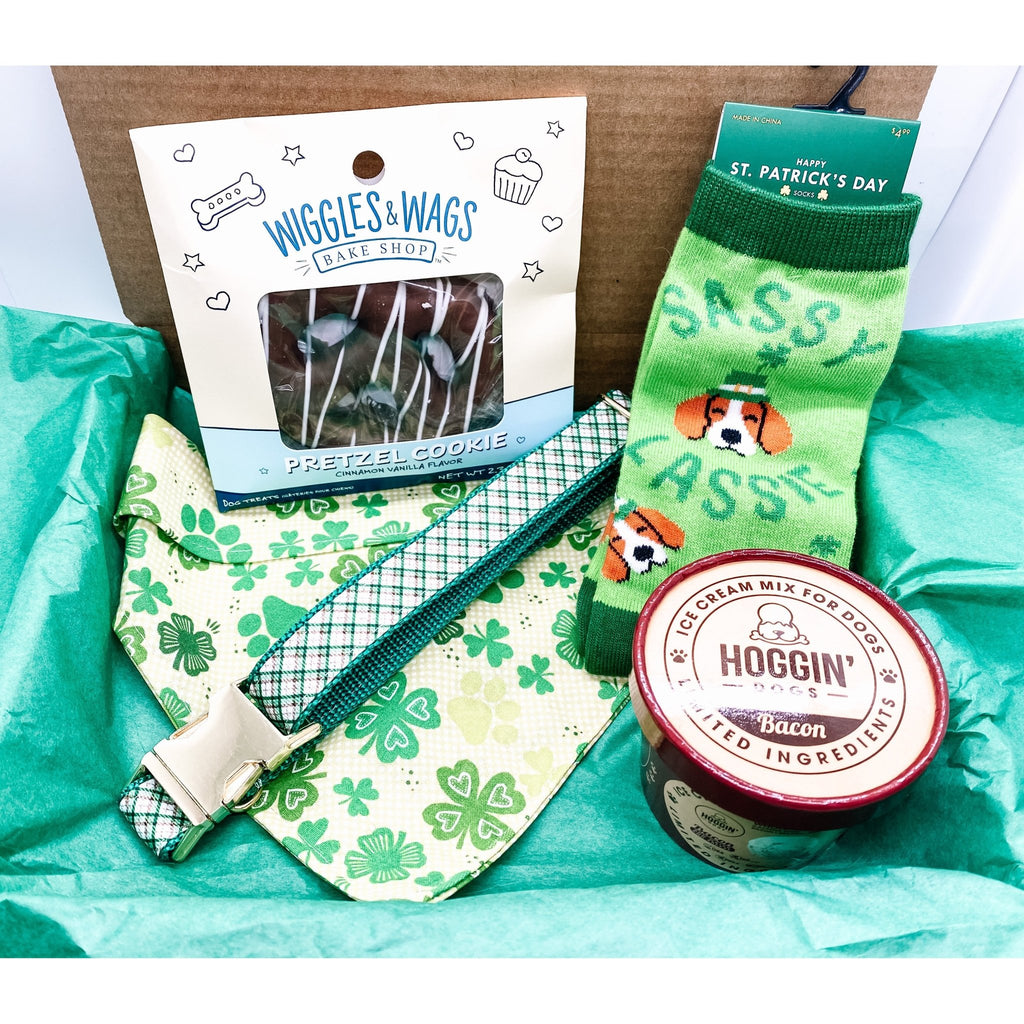 St. Patty's Doggy Box - Bandana Included - Jersey Border Collars