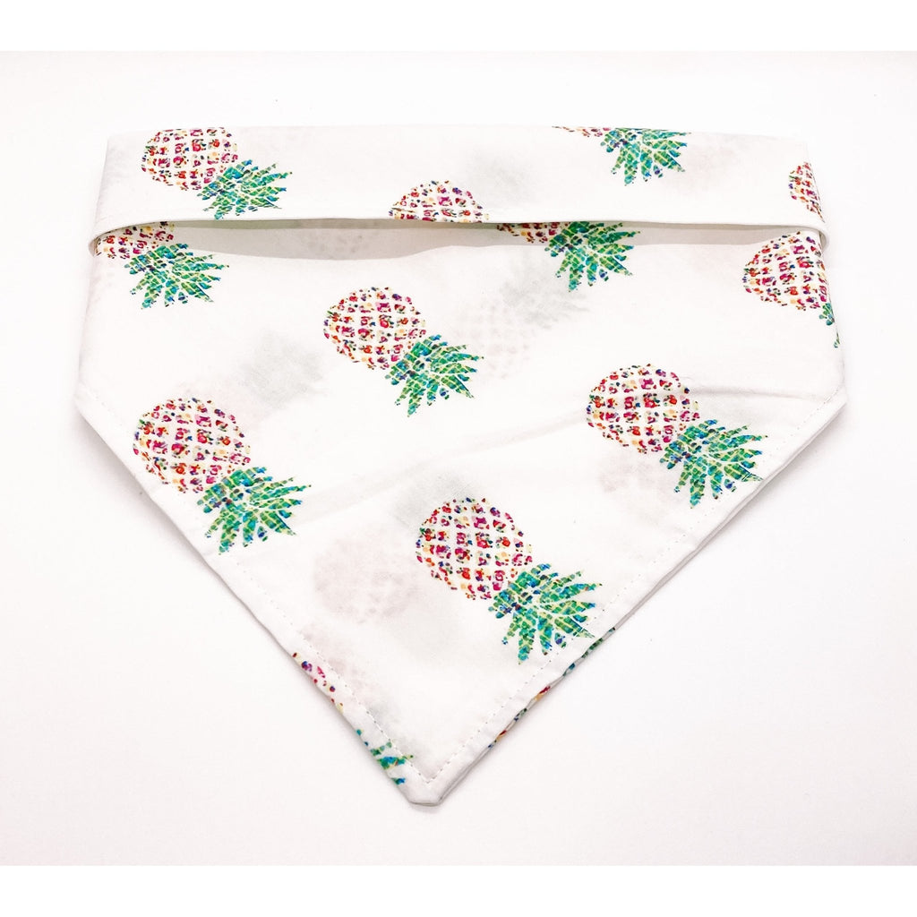 Pineapple Fun Bandana - Jersey Border Collars