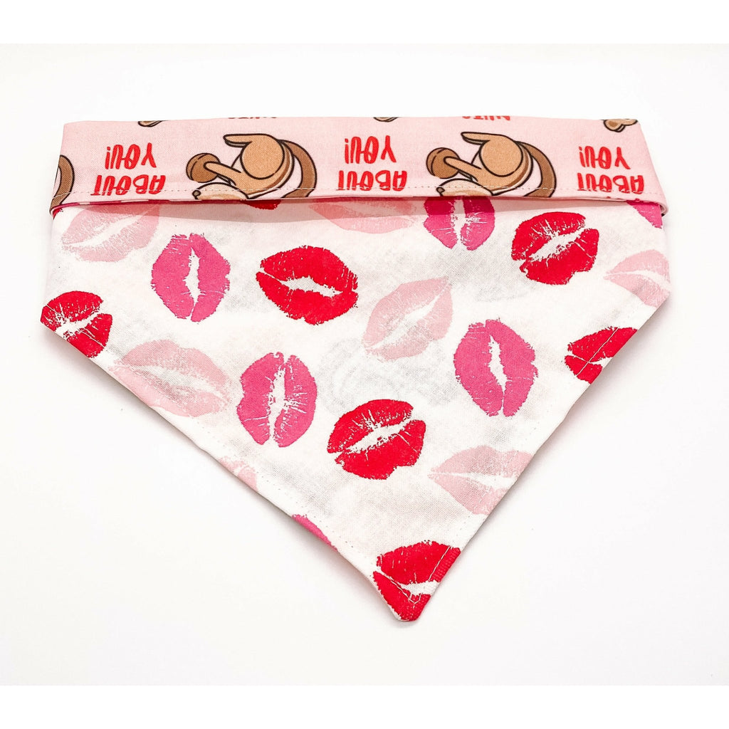 Nuts About You / Kisses Bandana - Reversible - Jersey Border Collars