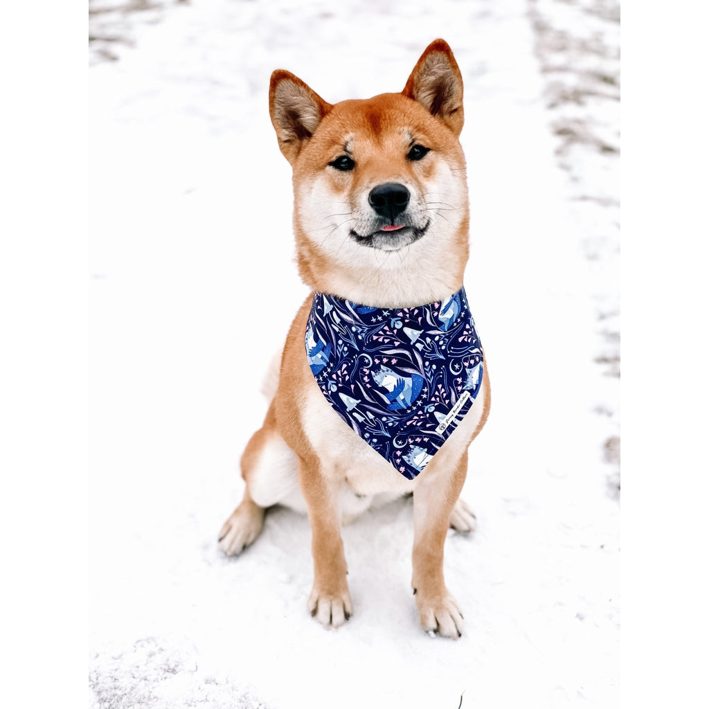 Luminescence Foxes / Moon Bandana - Reversible - Jersey Border Collars