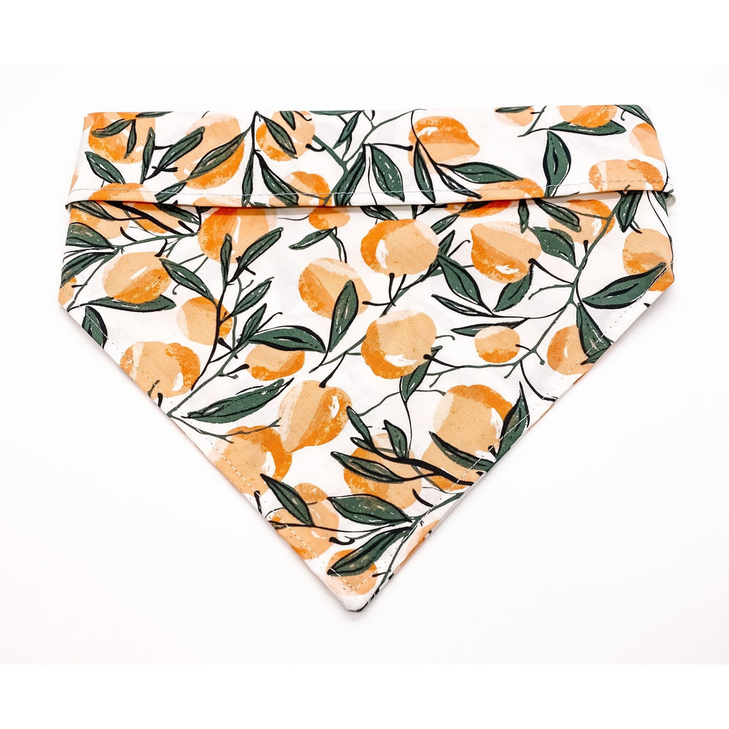 Orange Orchard Bandana - Jersey Border Collars