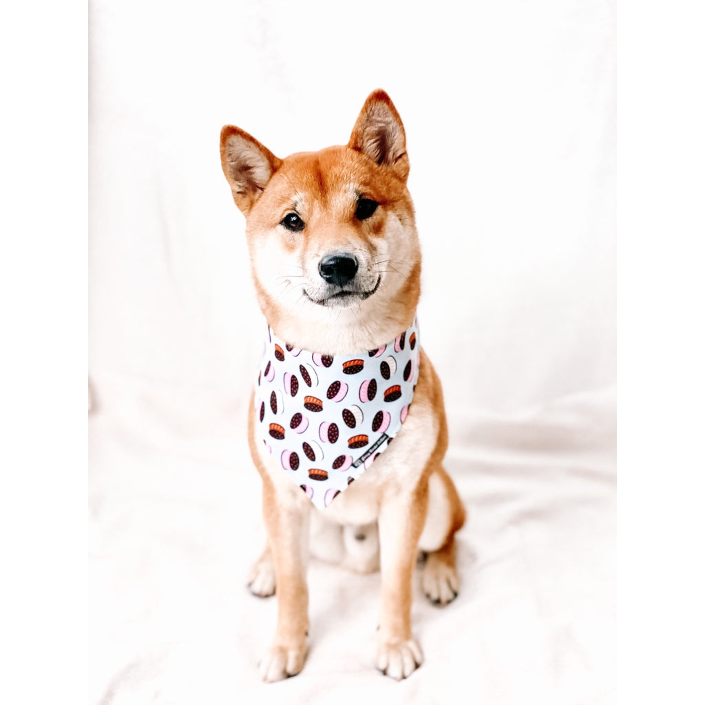 Ice - cream Sandwich Bandana - Jersey Border Collars