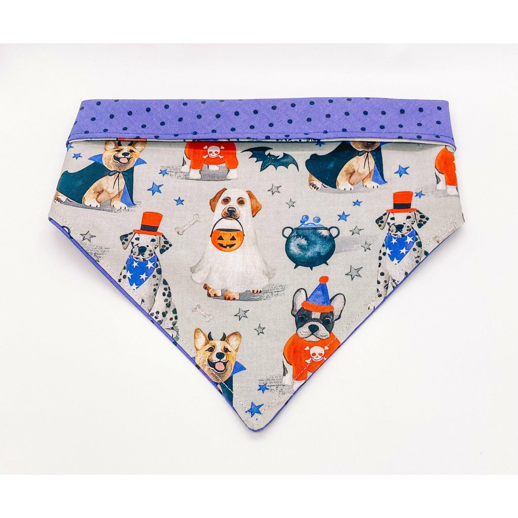 Trick for Treat Bandana - Reversible - Jersey Border Collars