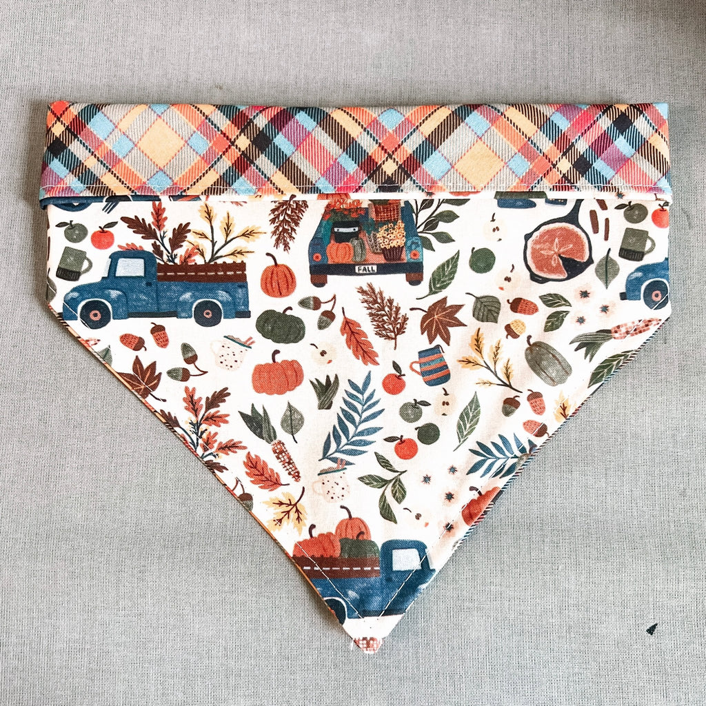 Vintage Harvest Bandana - Reversible - Jersey Border Collars