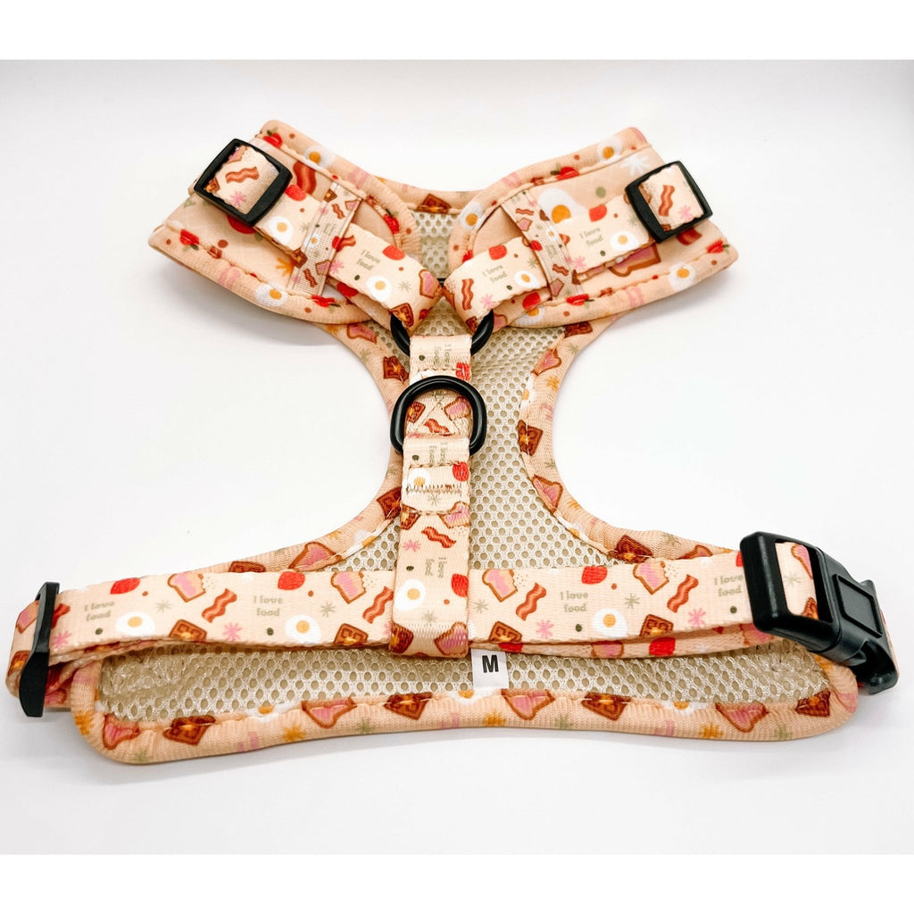 Barkfest - Bundle Set - Jersey Border Collars