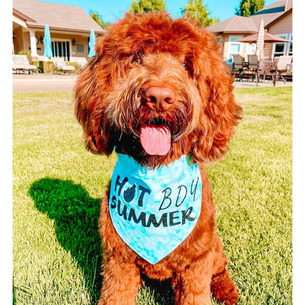 Hot Dog Summer Bandana - Jersey Border Collars