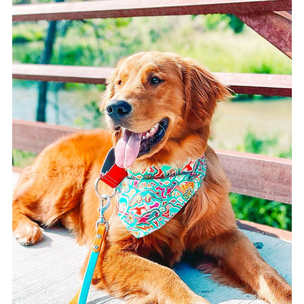 Hakuna Matata Bandana - Jersey Border Collars