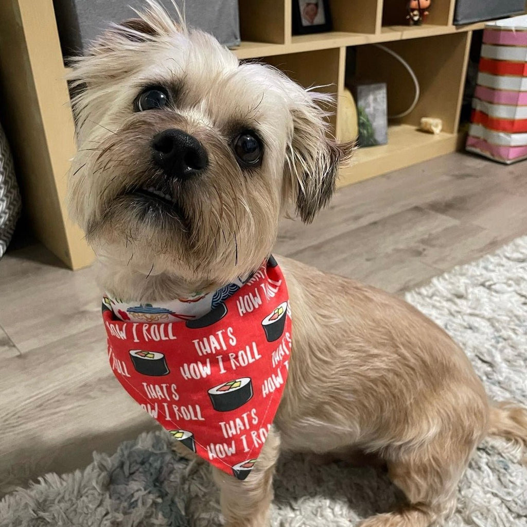 That's How I Roll / Sushi Bandana - Reversible - Jersey Border Collars