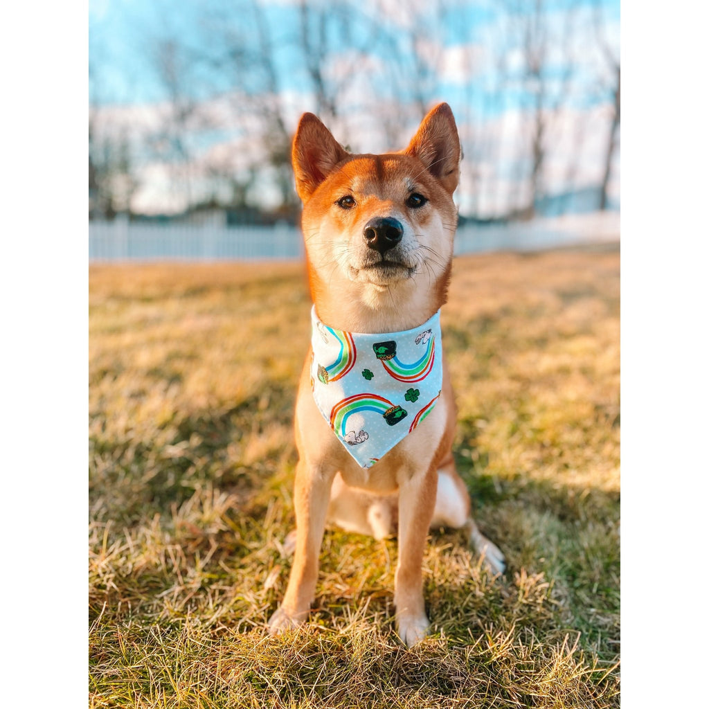 Snoopy's Pot of Gold Bandana - Jersey Border Collars