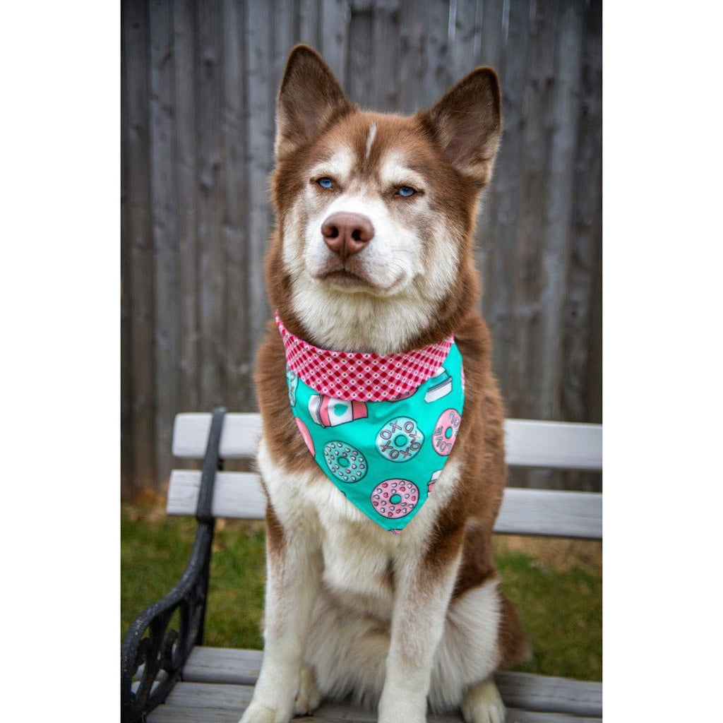 Donut Go Breaking My Heart Bandana - Reversible - Jersey Border Collars