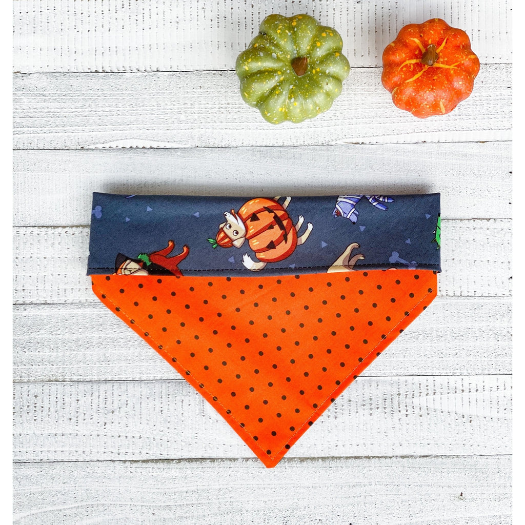 Halloween Dog Costume Bandana - Reversible - Jersey Border Collars