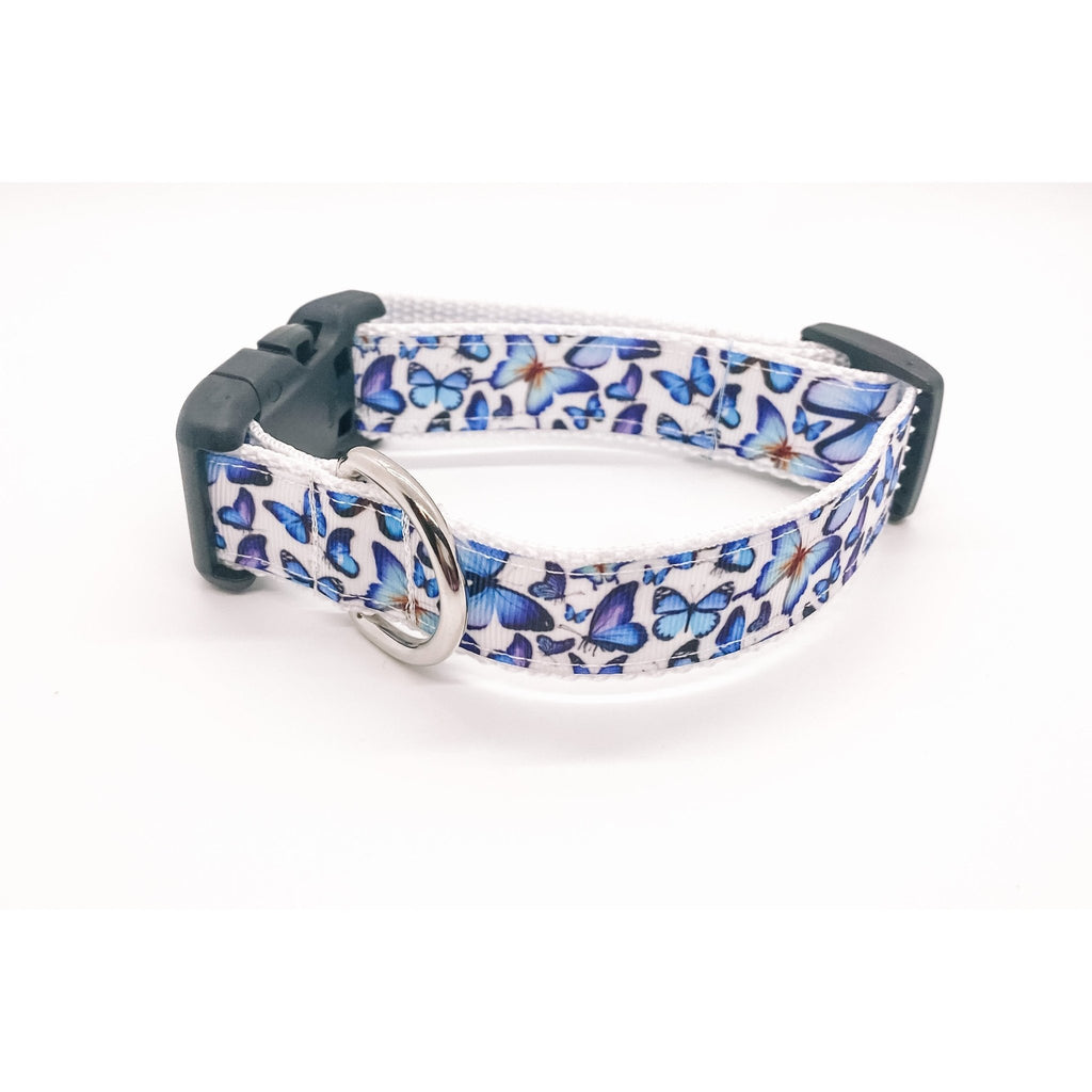 Blue Butterfly Adjustable Collar - Jersey Border Collars