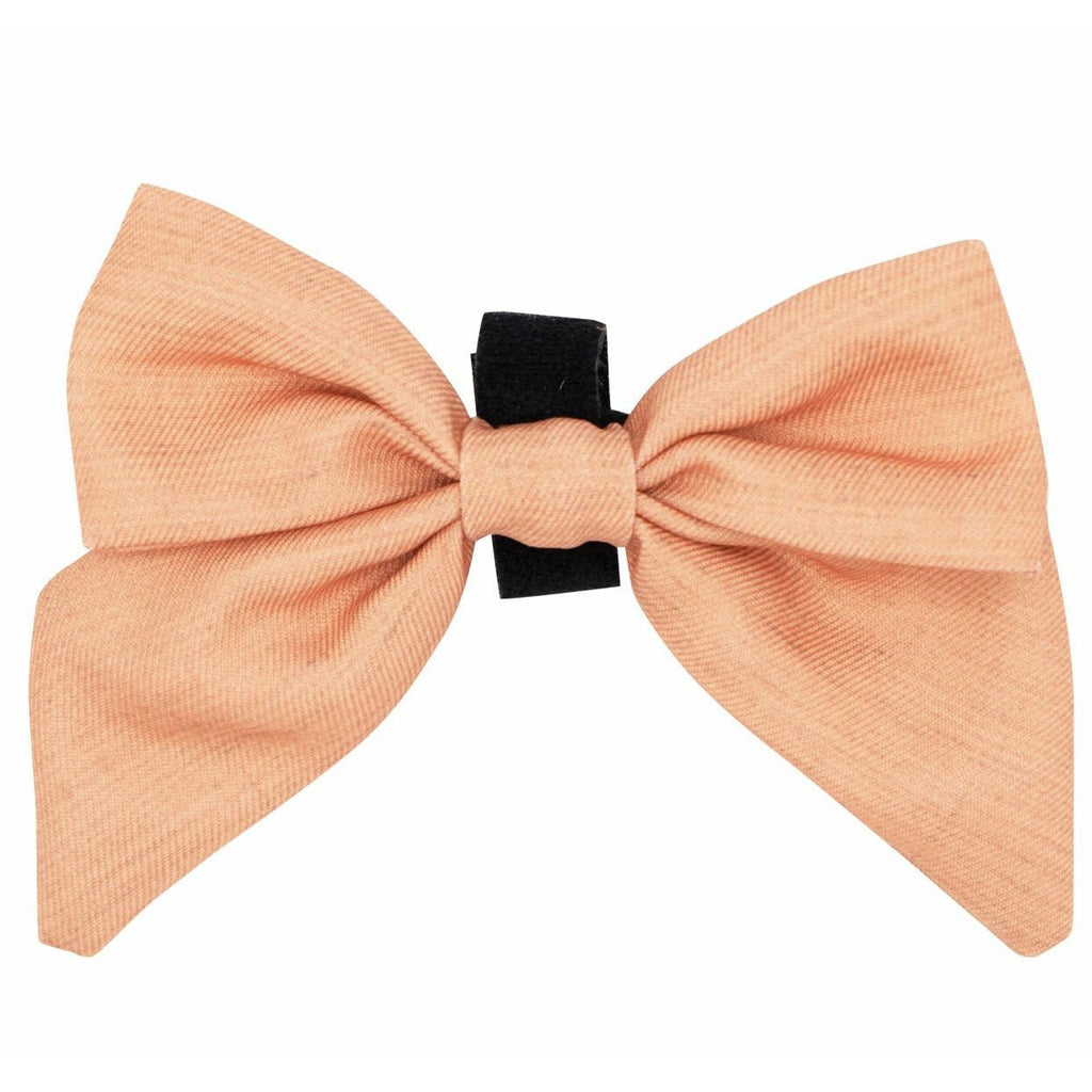 Apple Cider Sailor Bow - Jersey Border Collars