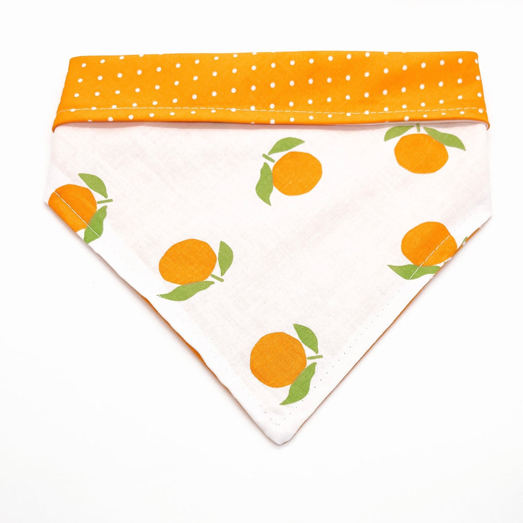 Summer Time Citrus Bandana - Reversible - Jersey Border Collars