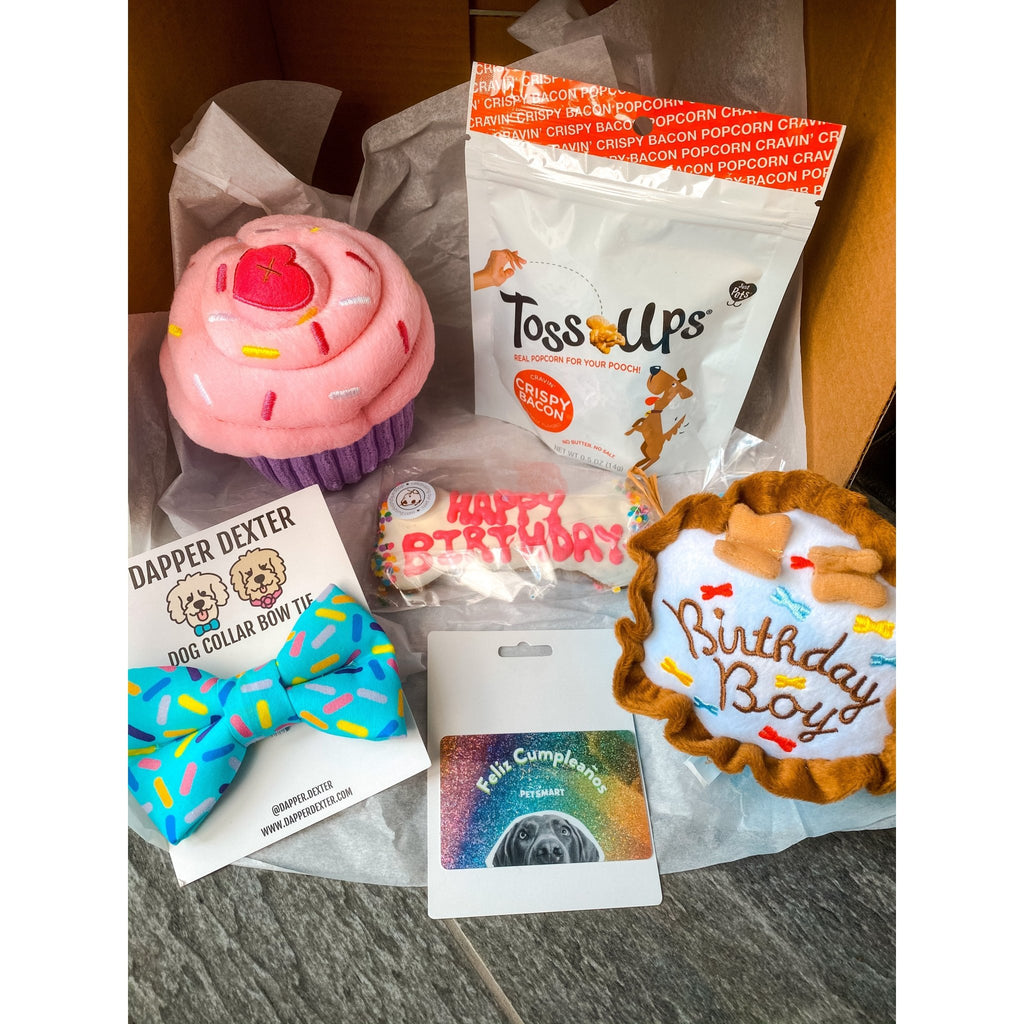 Birthday Doggy Box - Includes $5 PetSmart Giftcard! - Jersey Border Collars