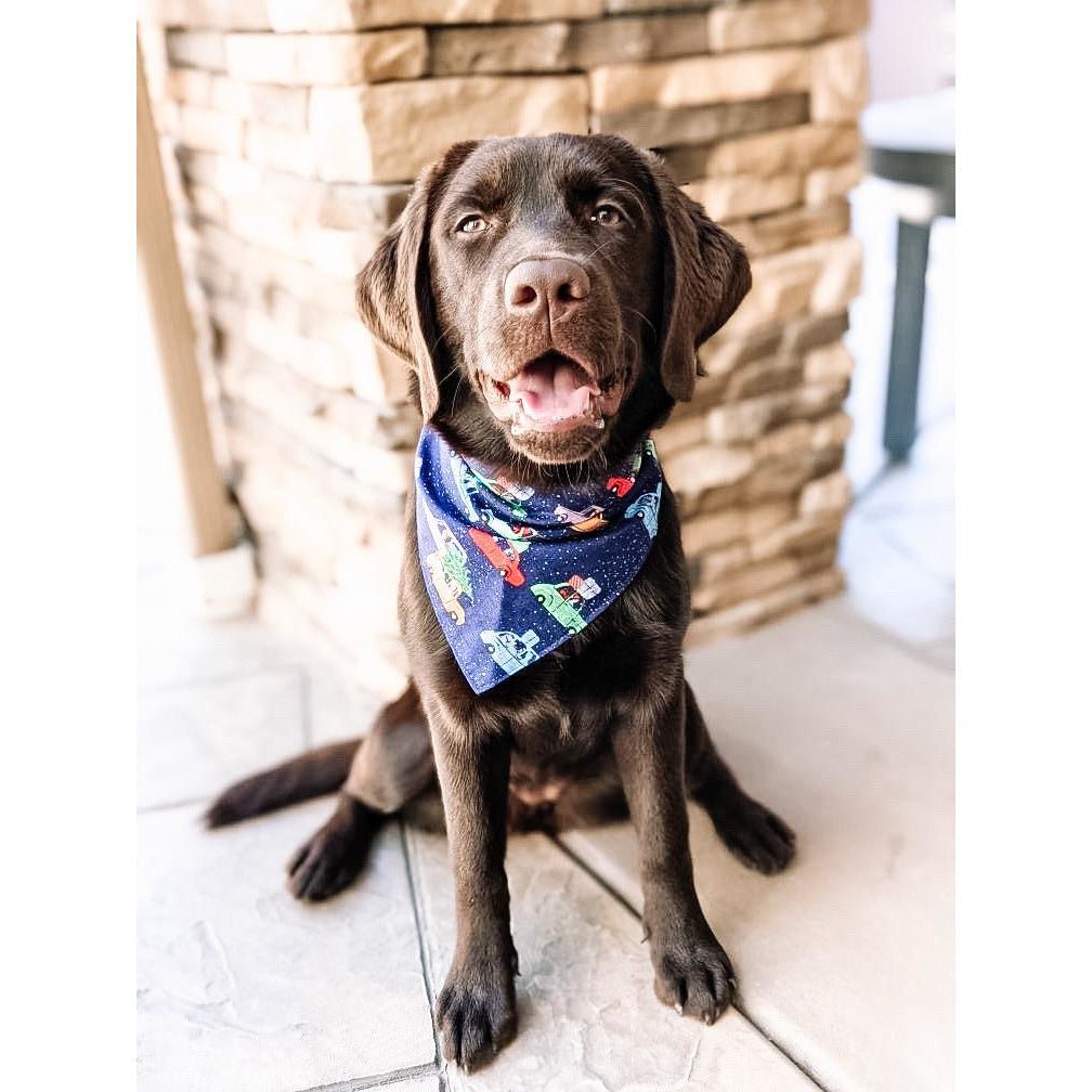 XMAS Cars Bandana - Jersey Border Collars