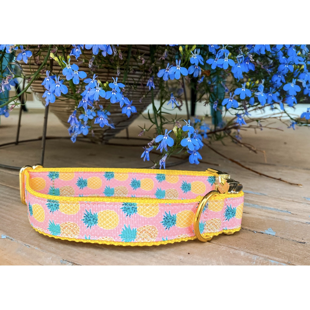 Pineapple Dog Collar - Jersey Border Collars