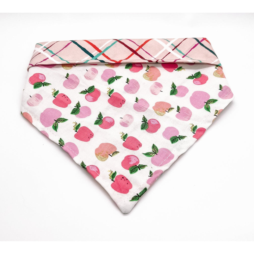 Pink Apple Picking / Plaid Bandana - Reversible - Jersey Border Collars